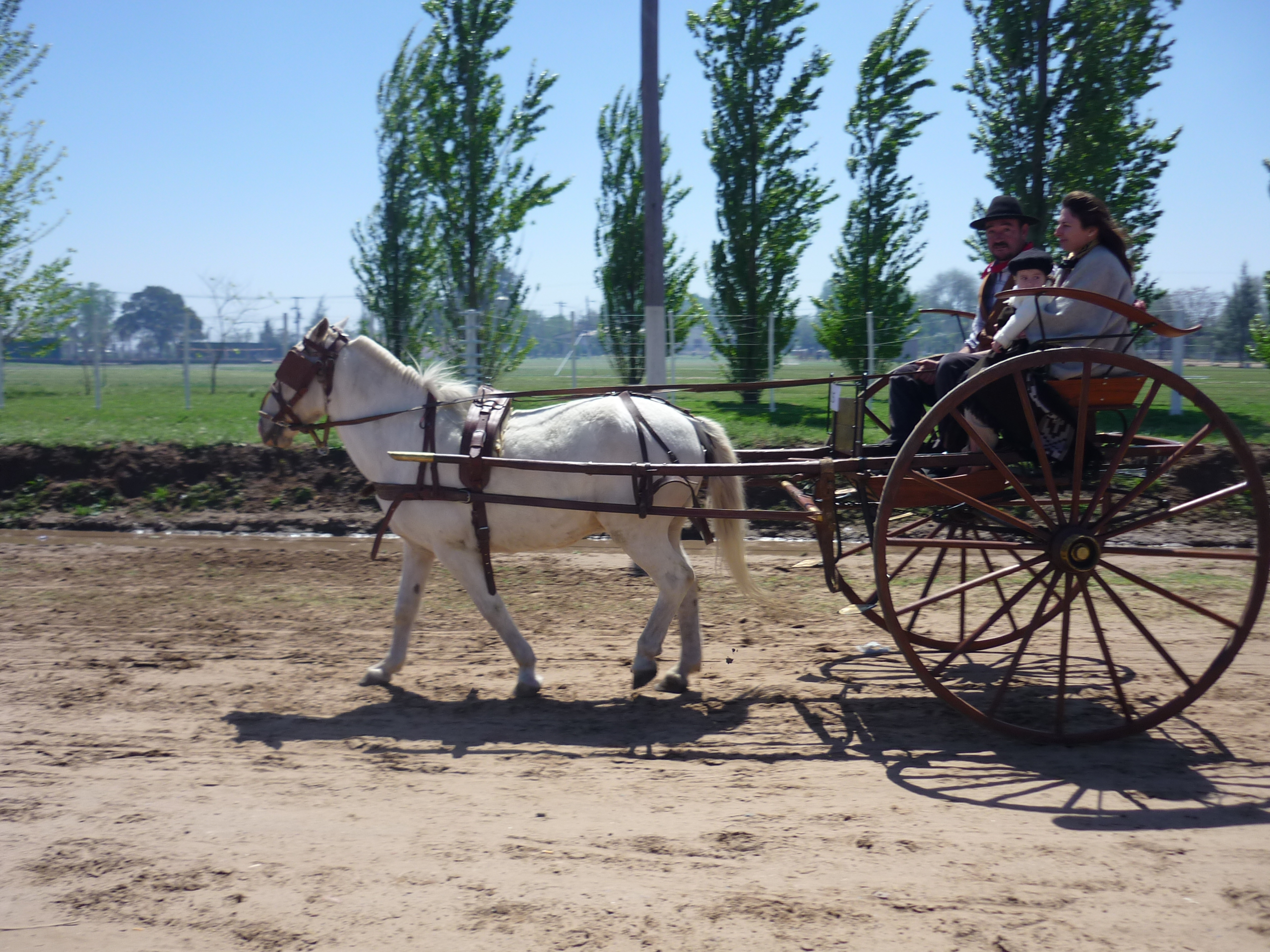 fotos/2009-10-11 - Fiesta del Cordero/P1000422.JPG